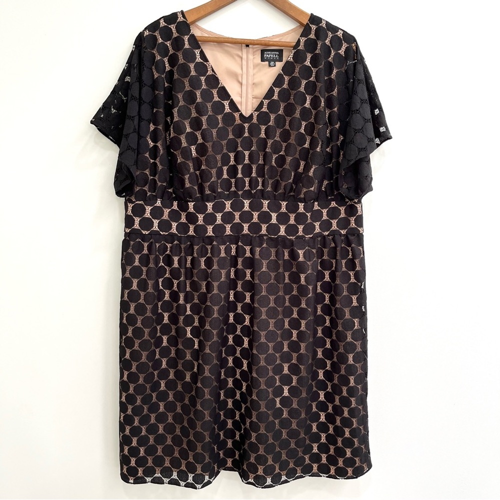Adrianna Papell Black and Nude Polka Dot Midi Dress